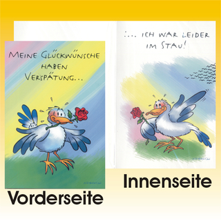 Karte Geburt/Hochzeit Humor 11,5 x 17,0cm, 8 fach sortiert - Mit farbigem Umschlag und Innentext!