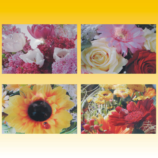 Platzdeckchen Blumen 43,5 x 28,3cm, 4 verschiedene Designs